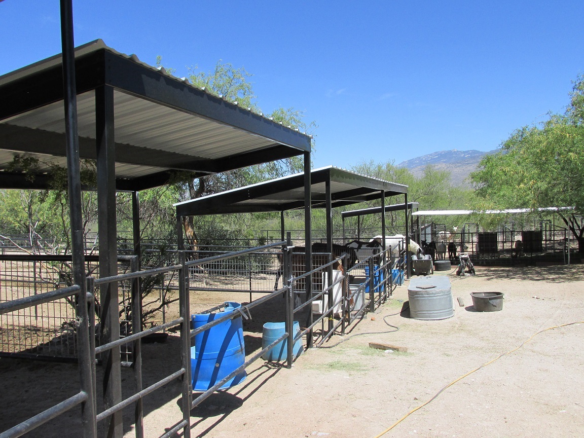 AZ Best Shade For Horses Installed 